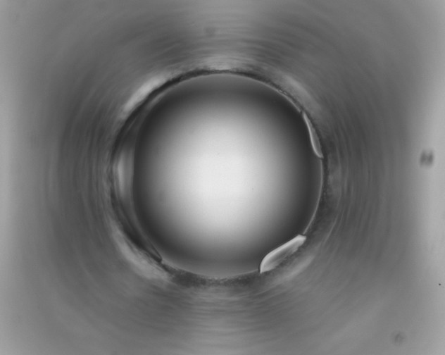 X0000091300530200708172210