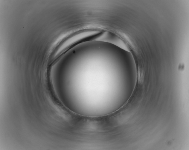 X0000091300531200708172210