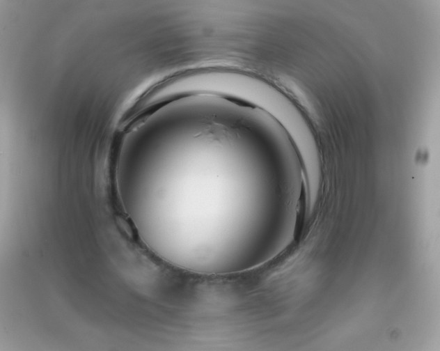 X0000091300532200708172210