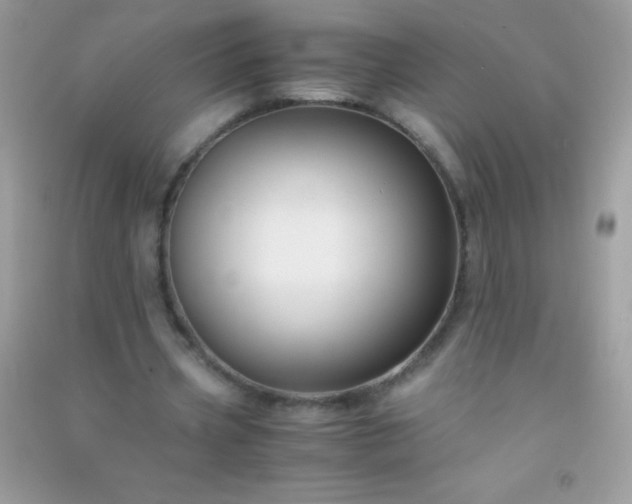 X0000091300533200708172210