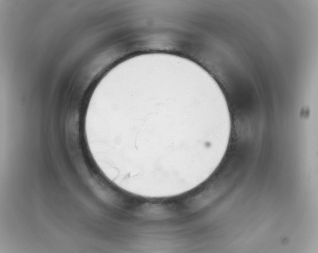 X0000091300534200708172210