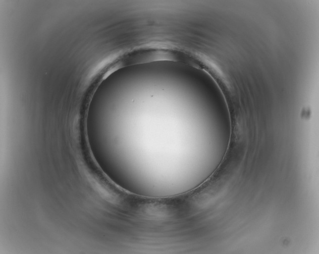 X0000091300535200708172210