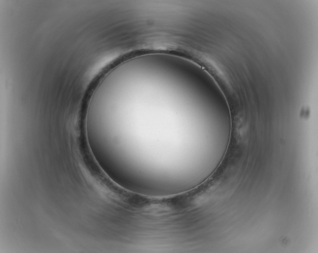 X0000091300536200708172210