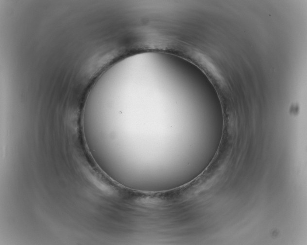 X0000091300537200708172210