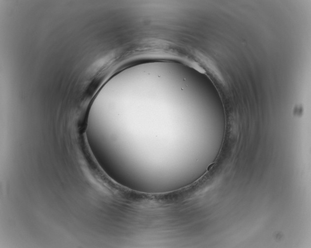 X0000091300538200708172210