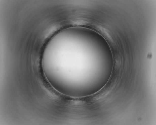 X0000091300539200708172210