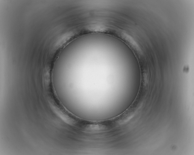 X0000091300541200708172210