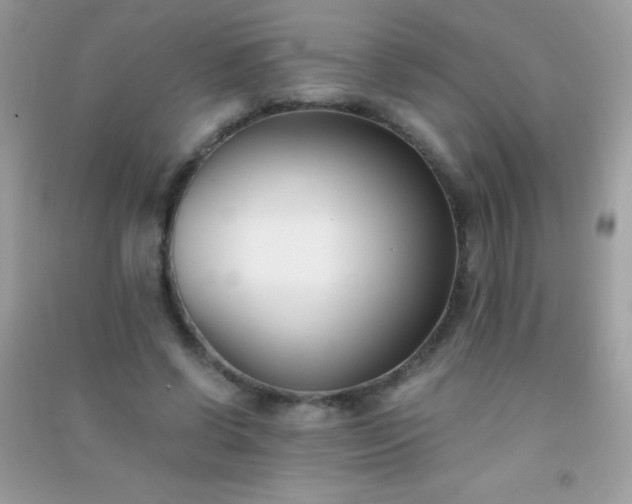 X0000091300542200708172210