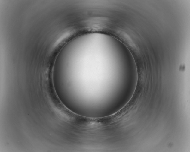 X0000091300543200708172210