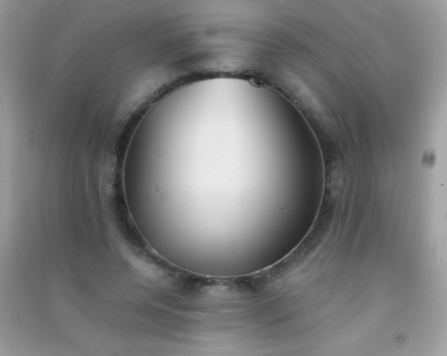 X0000091300544200708172210