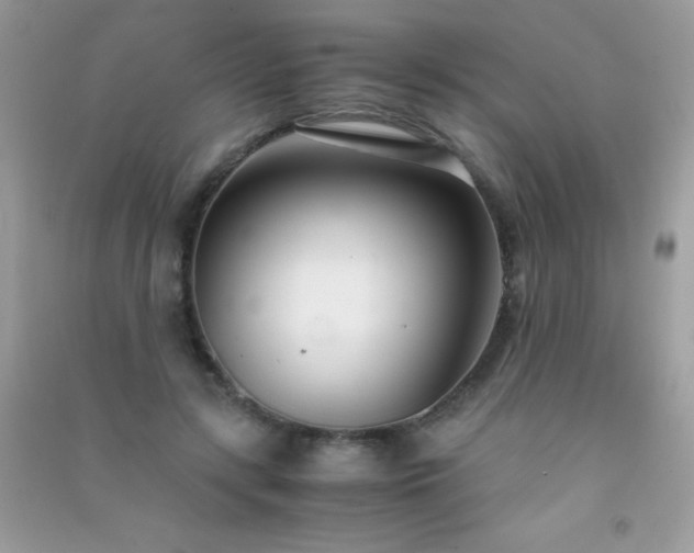 X0000091300547200708172210