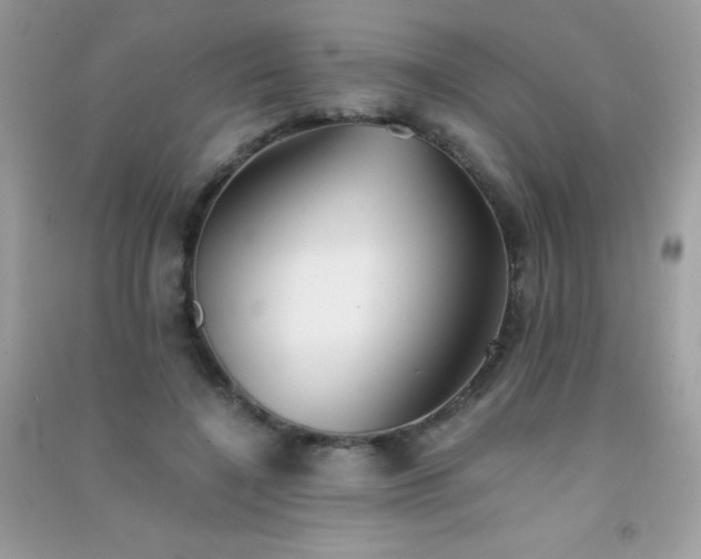 X0000091300548200708172210