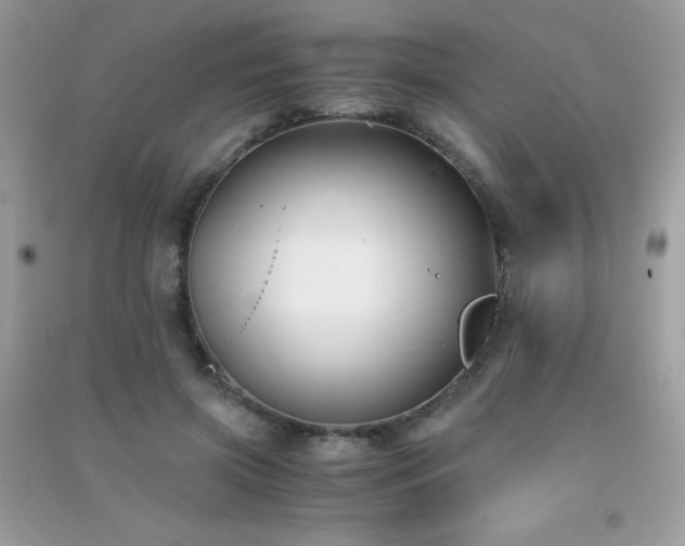 X0000091300549200708172210