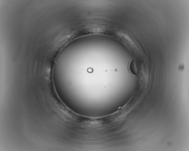 X0000091300553200708172211