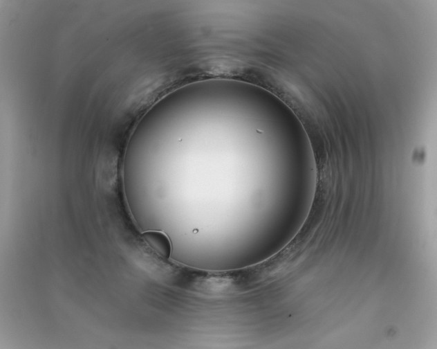 X0000091300554200708172211