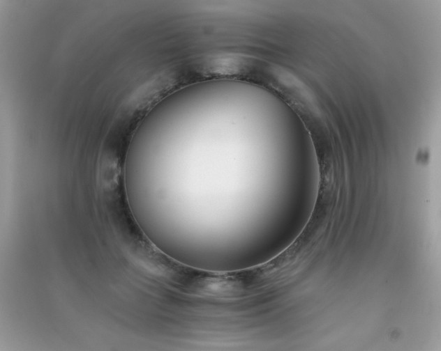 X0000091300555200708172211