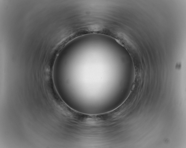 X0000091300556200708172211