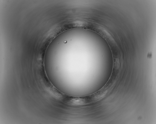 X0000091300557200708172211