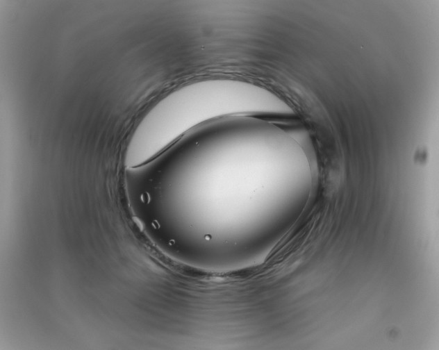 X0000091300558200708172211