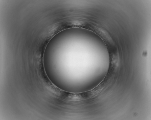 X0000091300559200708172211