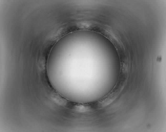 X0000091300561200708172211