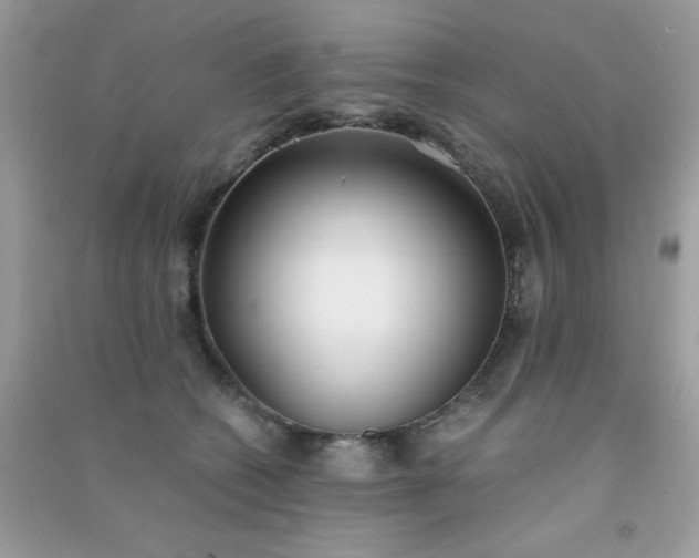 X0000091300562200708172211