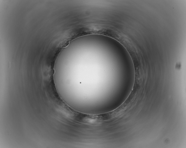 X0000091300563200708172211