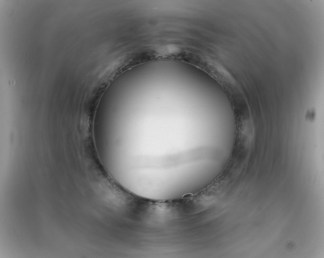 X0000091300565200708172211