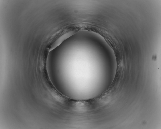 X0000091300566200708172211