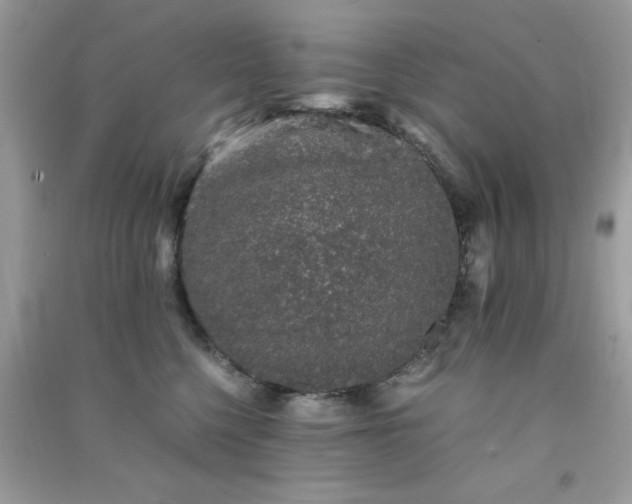 X0000091300568200708172211