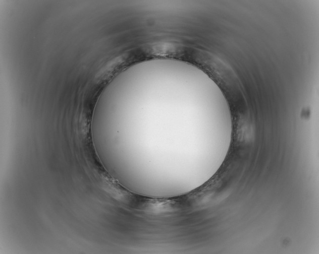 X0000091300569200708172211