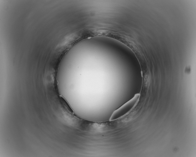 X0000091300570200708172211