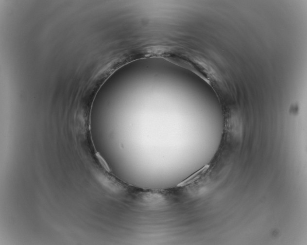 X0000091300572200708172211