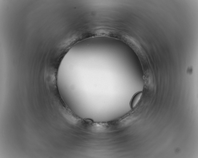 X0000091300573200708172211