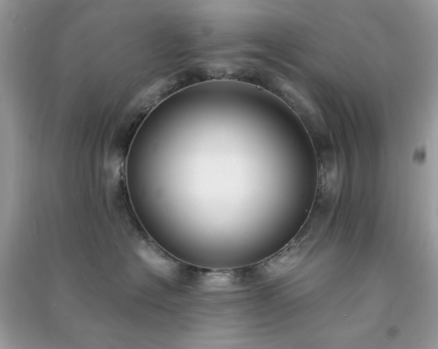 X0000091300574200708172211