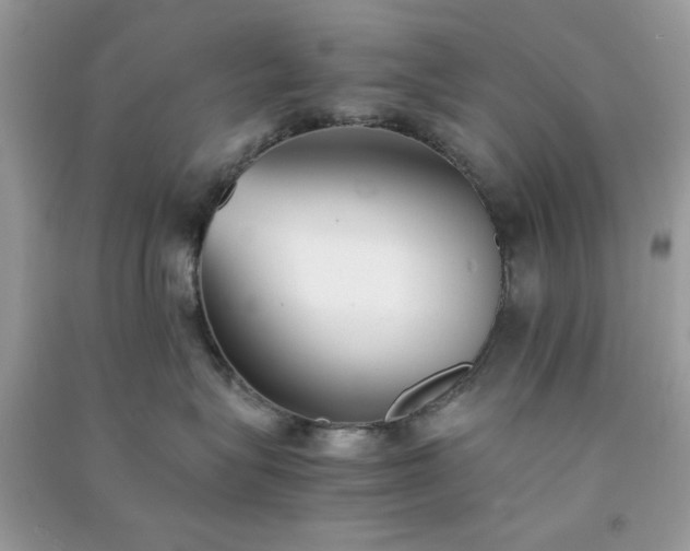 X0000091300575200708172211