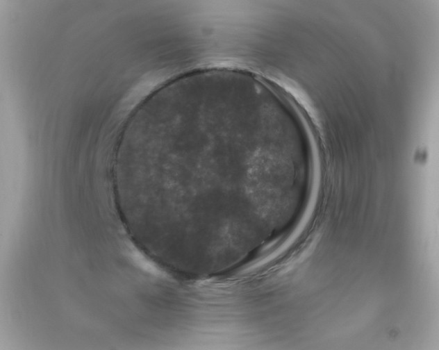 X0000091300577200708172210