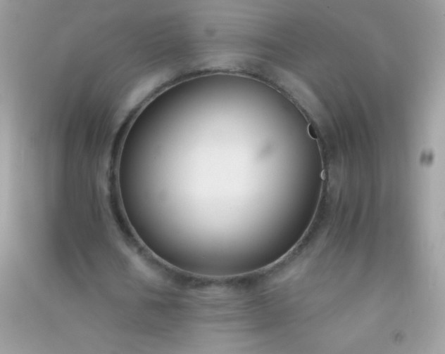 X0000091300578200708172210