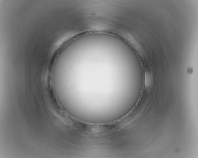 X0000091300579200708172210