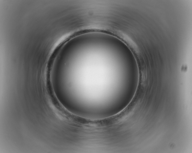 X0000091300580200708172210