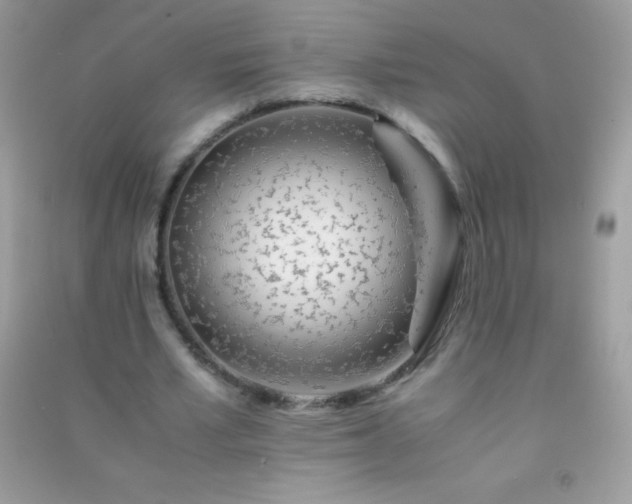 X0000091300581200708172210