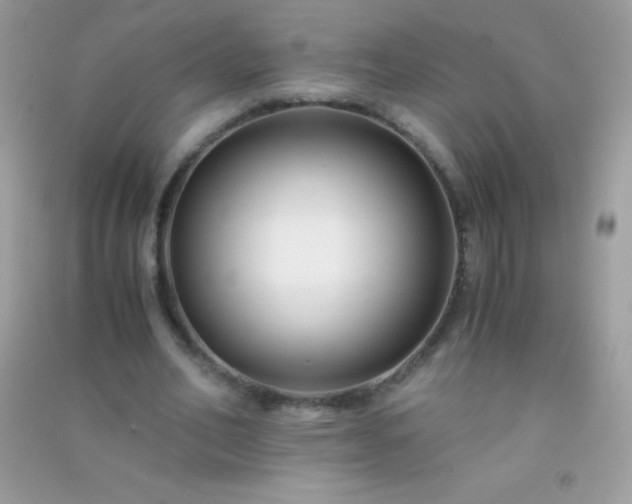 X0000091300582200708172210