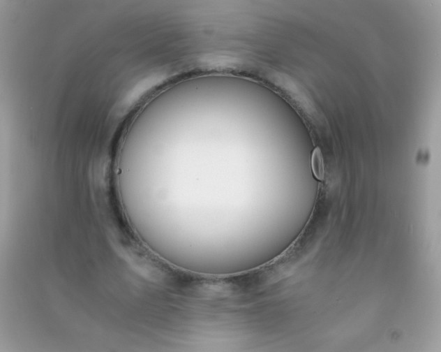 X0000091300583200708172210