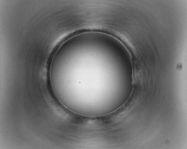 X0000091300584200708172210