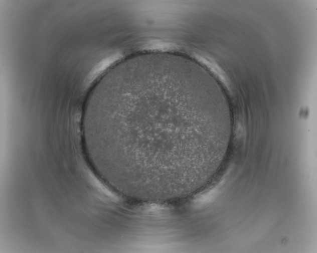 X0000091300585200708172210