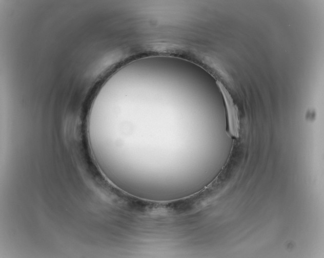 X0000091300587200708172210