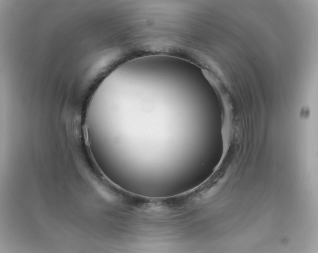 X0000091300589200708172210