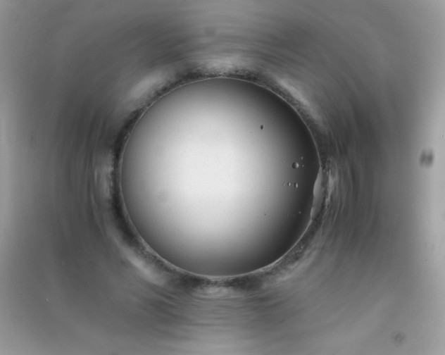 X0000091300590200708172210