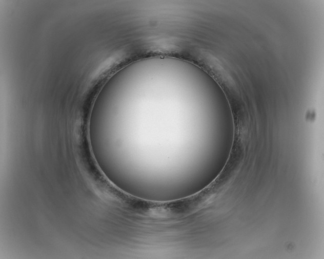 X0000091300591200708172210