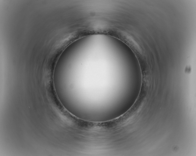 X0000091300593200708172210